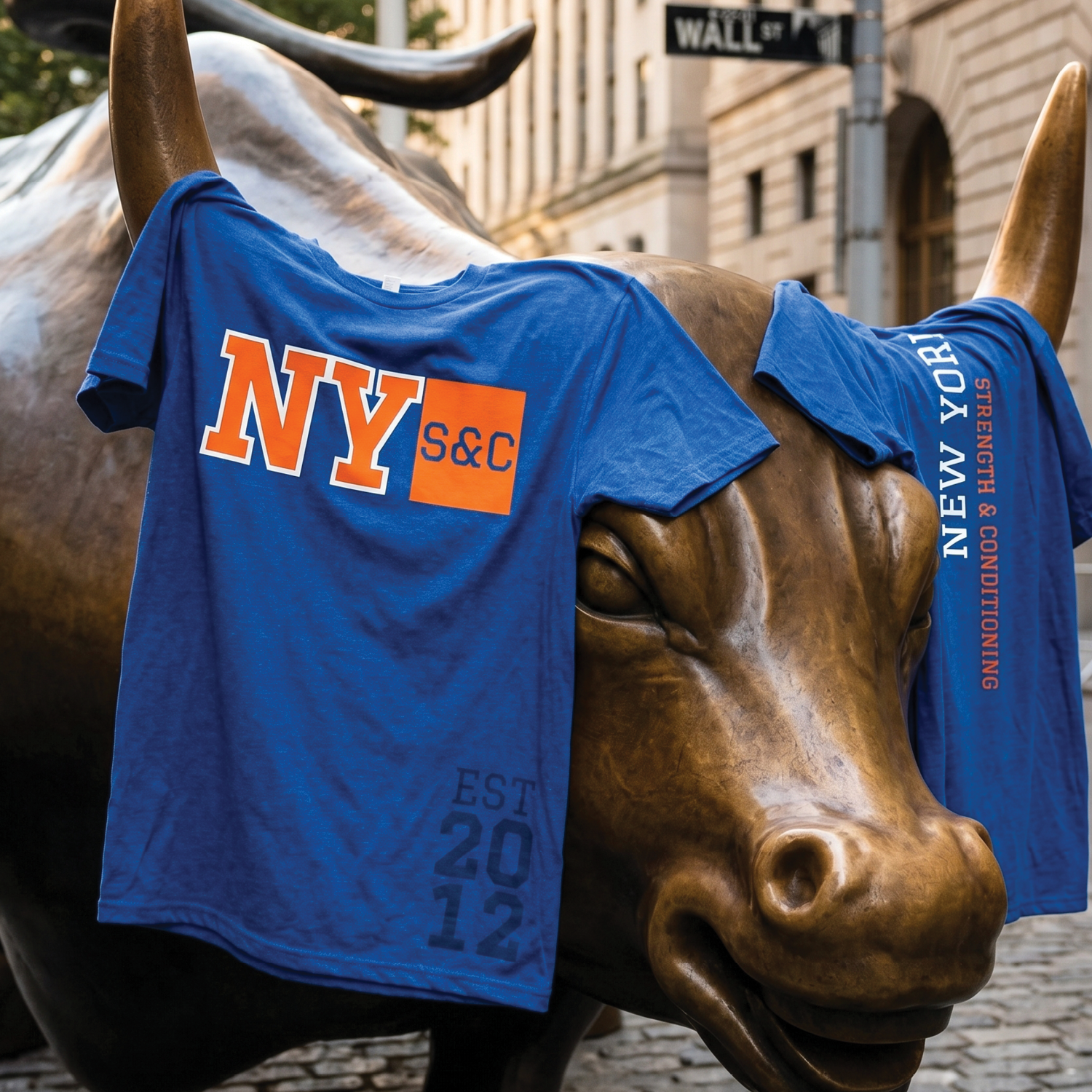 NY S&C shirts on Charging Bull statue