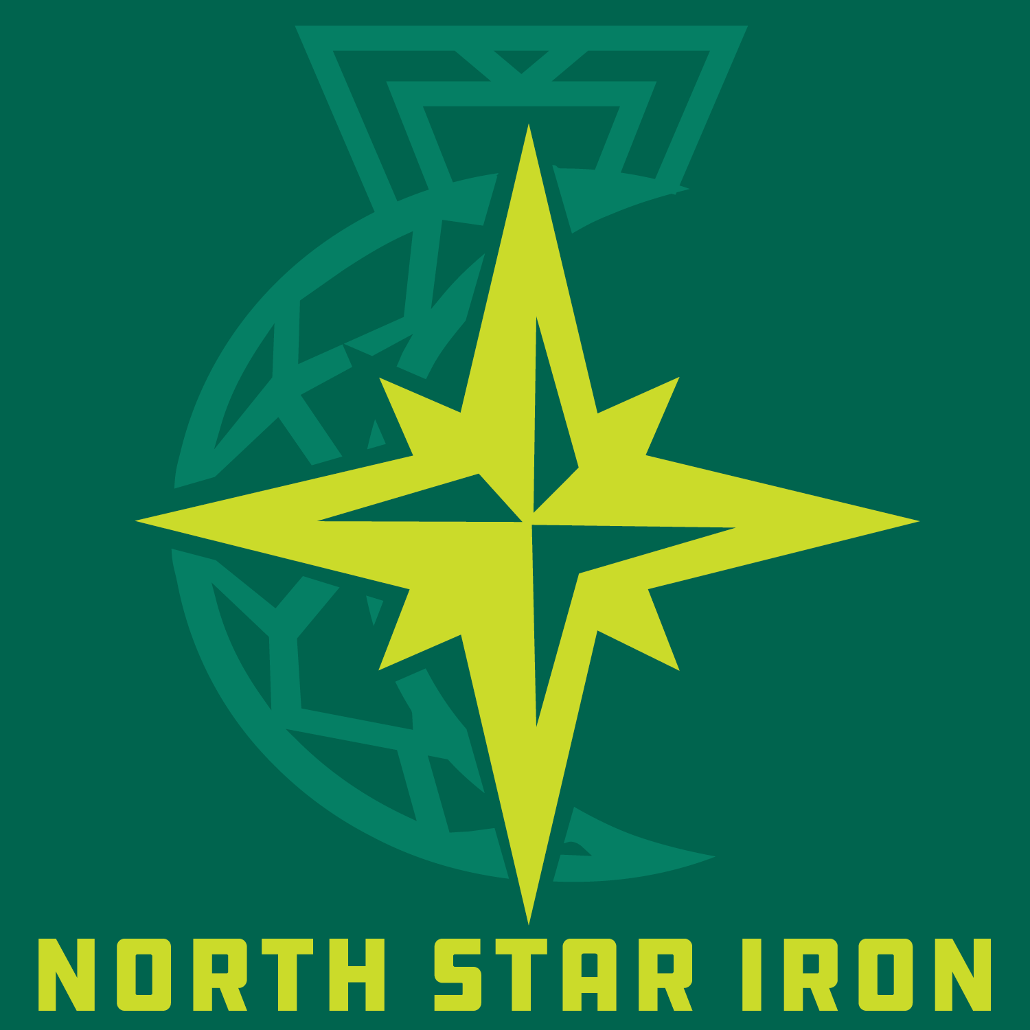 North Star Iron Minneapolis featured apparel concept