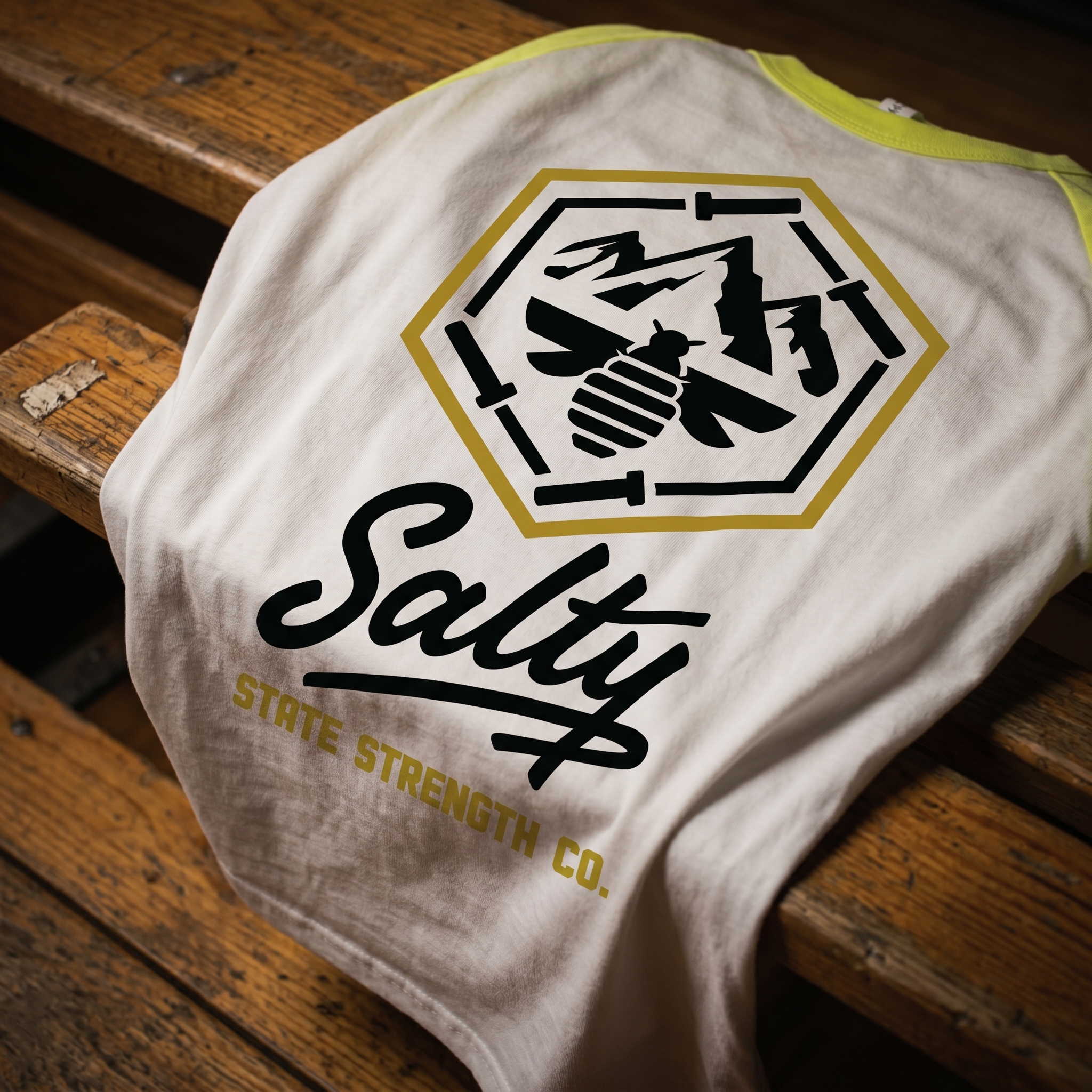 Mineral wash cropped hoodie with Salty State back script and front mountain bee badge